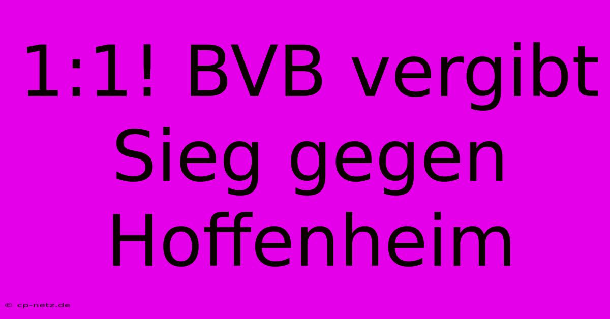 1:1! BVB Vergibt Sieg Gegen Hoffenheim