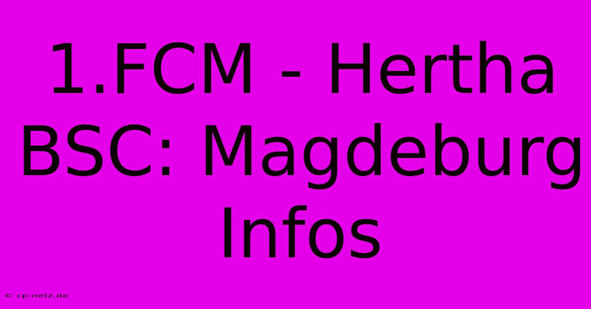 1.FCM - Hertha BSC: Magdeburg Infos