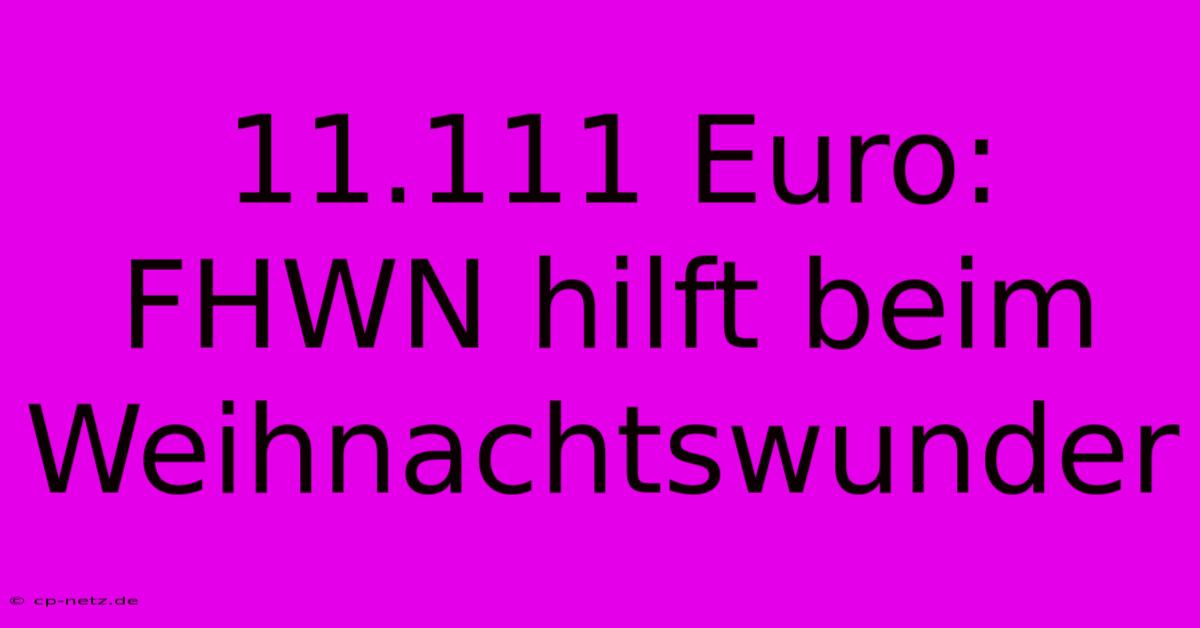 11.111 Euro: FHWN Hilft Beim Weihnachtswunder