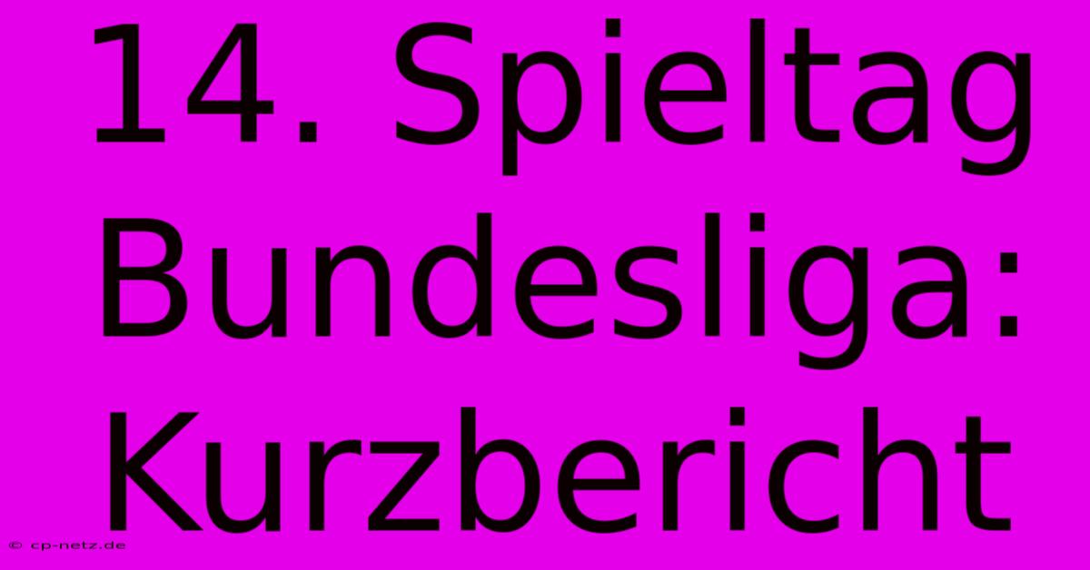 14. Spieltag Bundesliga: Kurzbericht