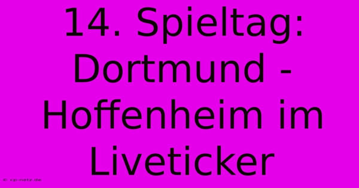 14. Spieltag: Dortmund - Hoffenheim Im Liveticker