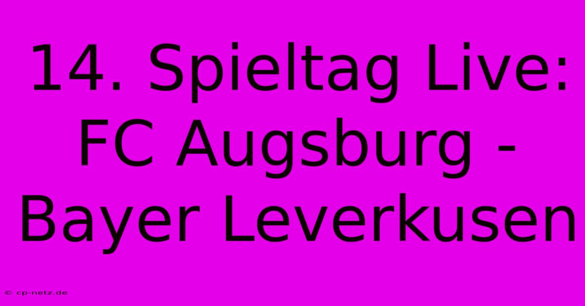 14. Spieltag Live: FC Augsburg - Bayer Leverkusen