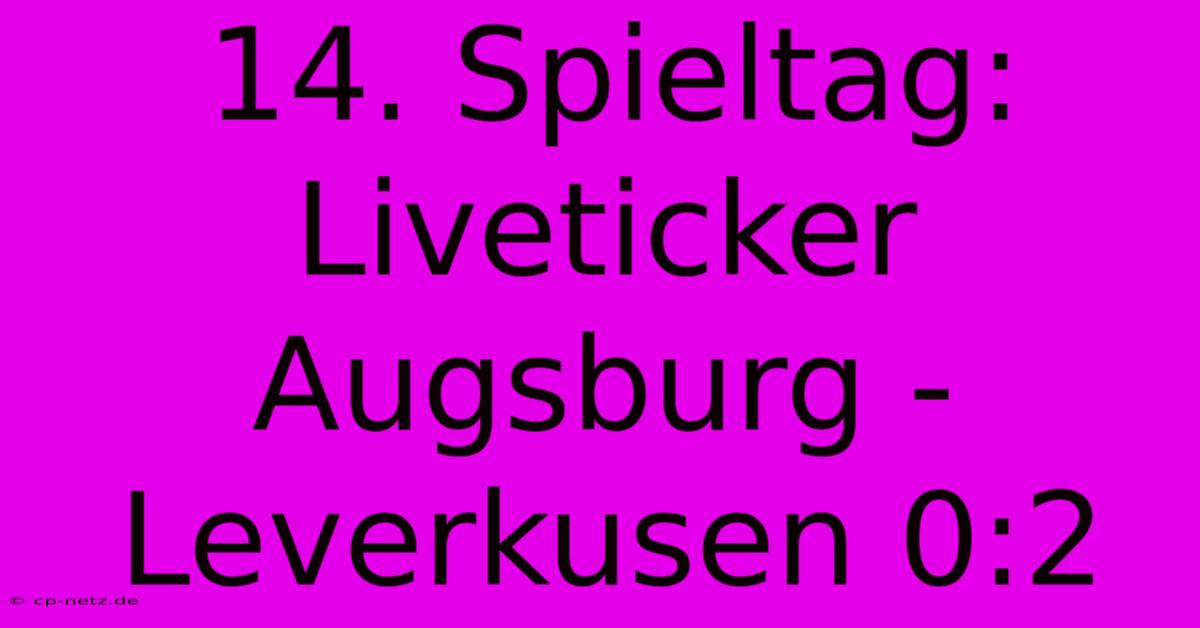 14. Spieltag: Liveticker Augsburg - Leverkusen 0:2