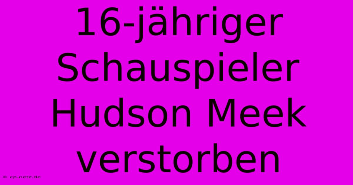 16-jähriger Schauspieler Hudson Meek Verstorben