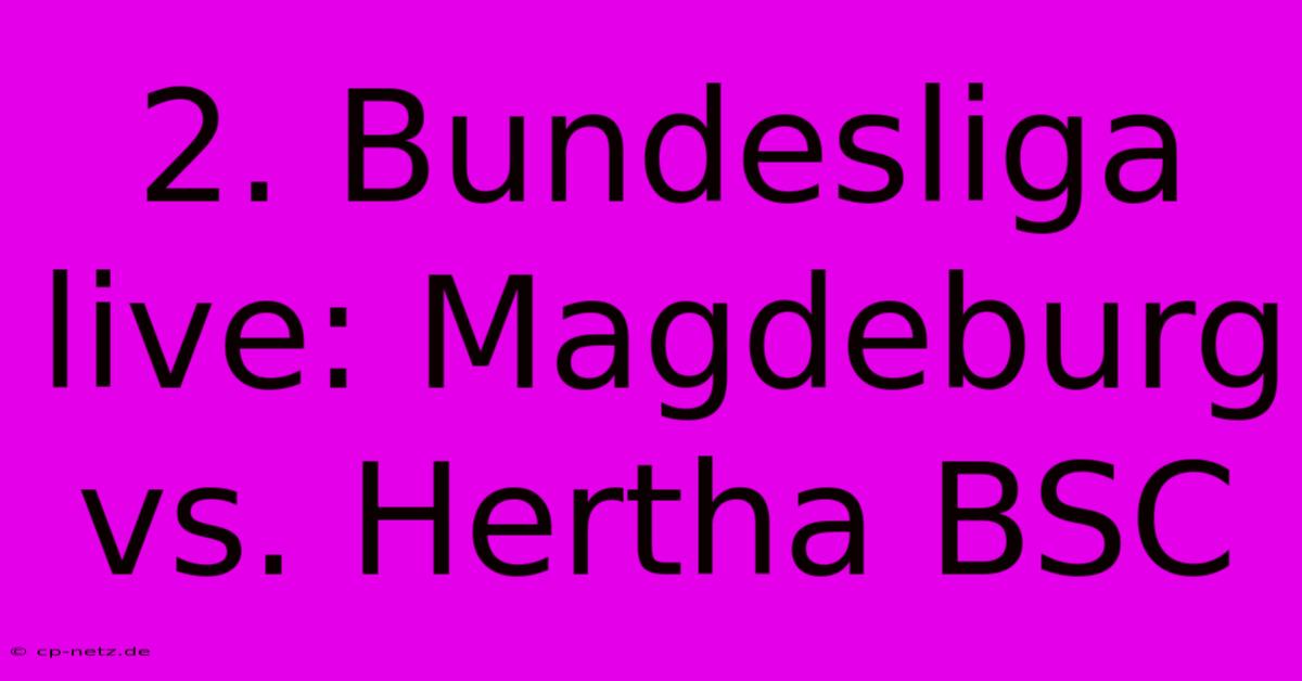 2. Bundesliga Live: Magdeburg Vs. Hertha BSC