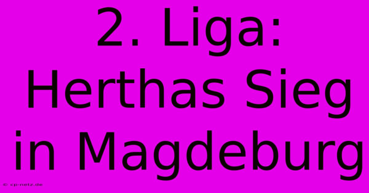 2. Liga: Herthas Sieg In Magdeburg