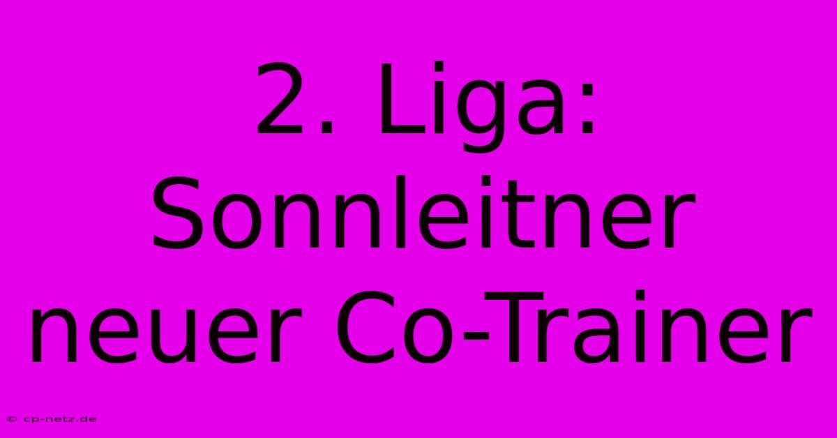 2. Liga: Sonnleitner Neuer Co-Trainer