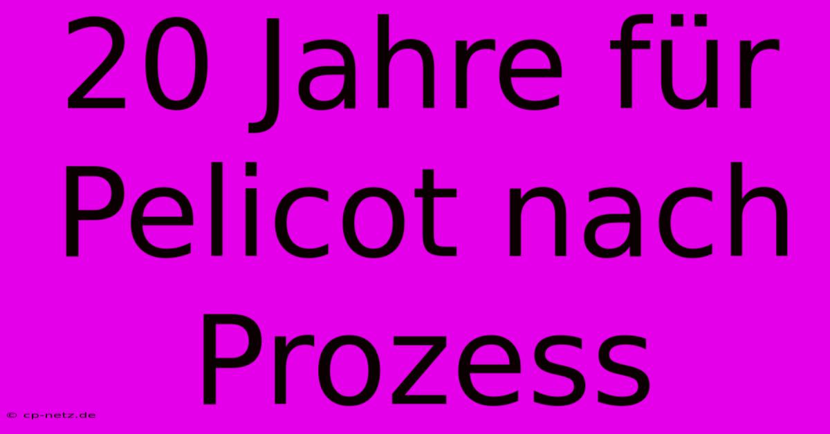 20 Jahre Für Pelicot Nach Prozess