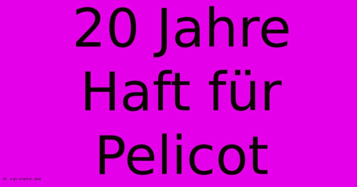 20 Jahre Haft Für Pelicot