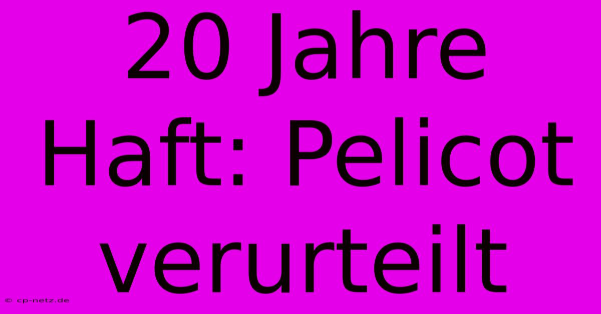 20 Jahre Haft: Pelicot Verurteilt