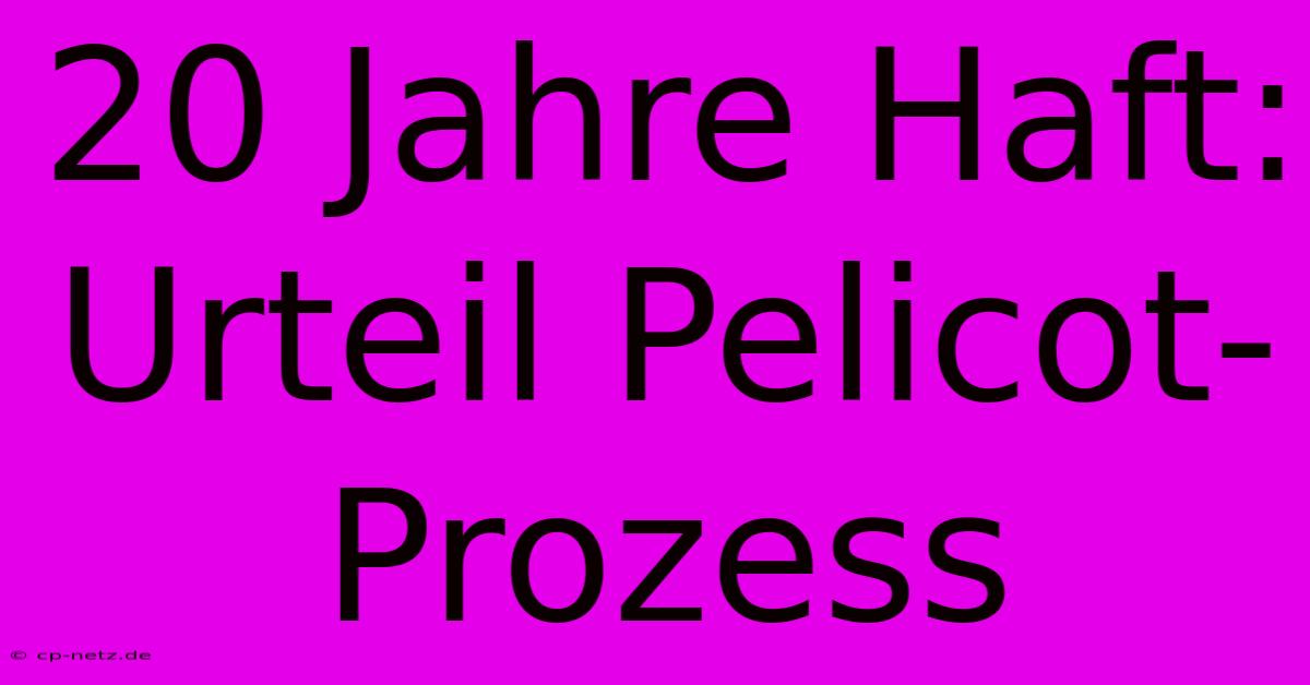 20 Jahre Haft: Urteil Pelicot-Prozess