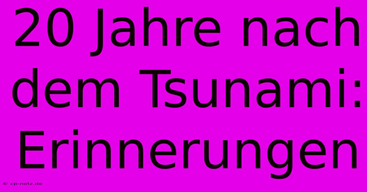 20 Jahre Nach Dem Tsunami:  Erinnerungen