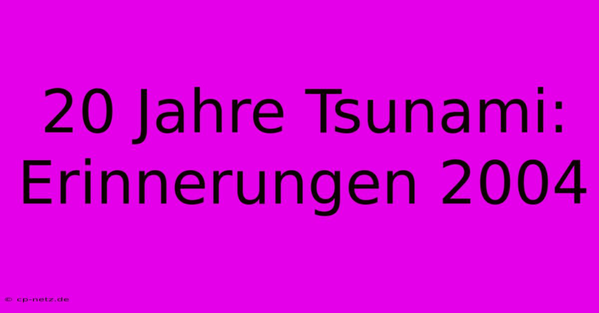 20 Jahre Tsunami: Erinnerungen 2004