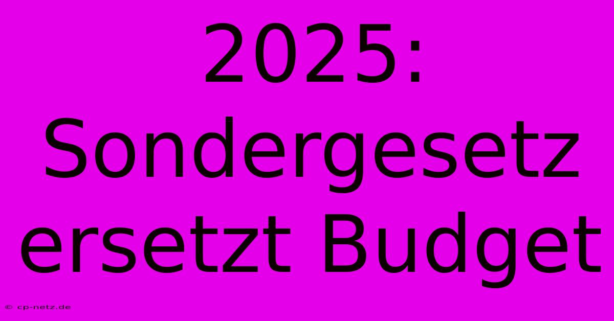 2025: Sondergesetz Ersetzt Budget