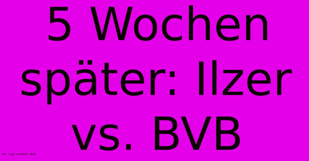 5 Wochen Später: Ilzer Vs. BVB