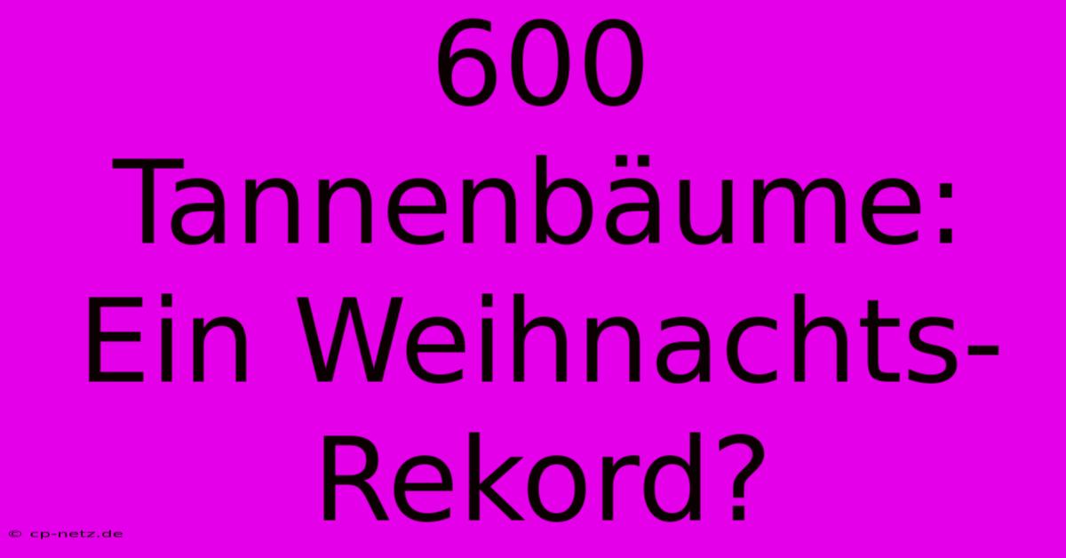 600 Tannenbäume: Ein Weihnachts-Rekord?