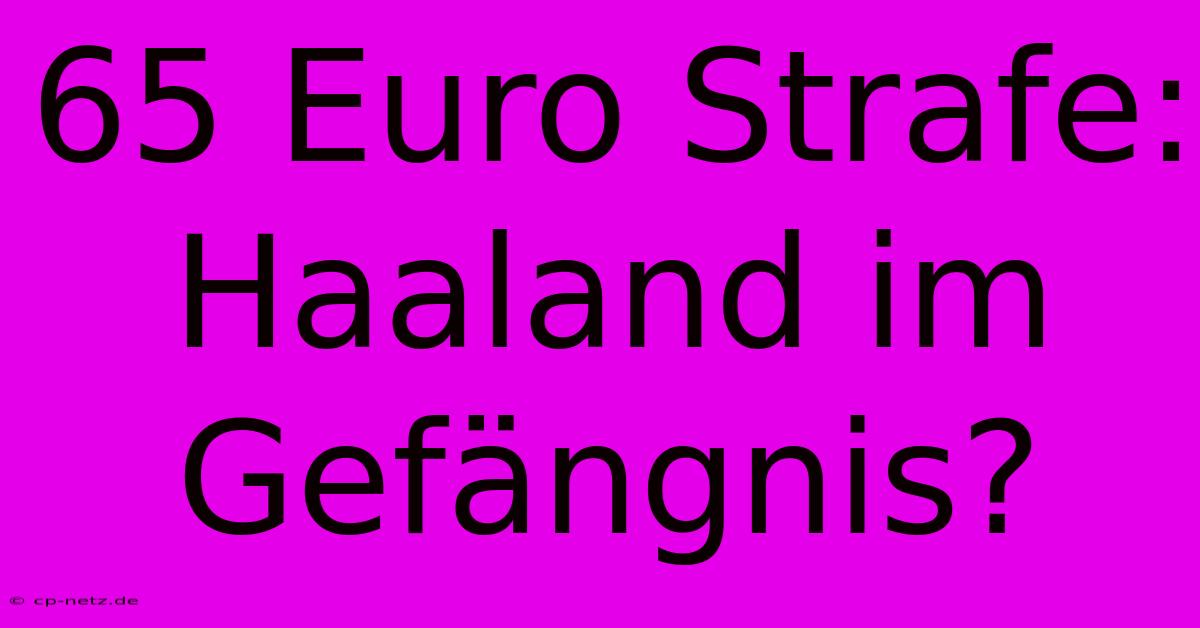 65 Euro Strafe: Haaland Im Gefängnis?