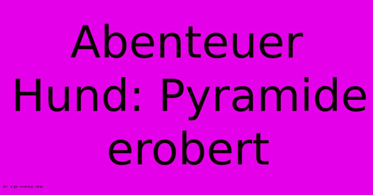 Abenteuer Hund: Pyramide Erobert