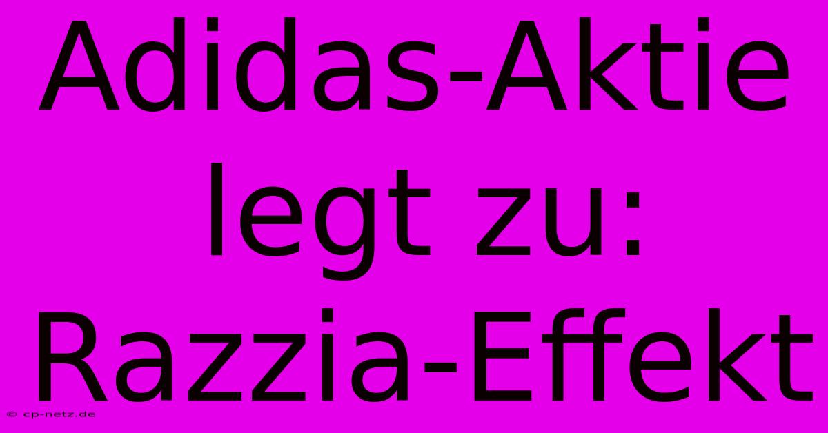 Adidas-Aktie Legt Zu: Razzia-Effekt