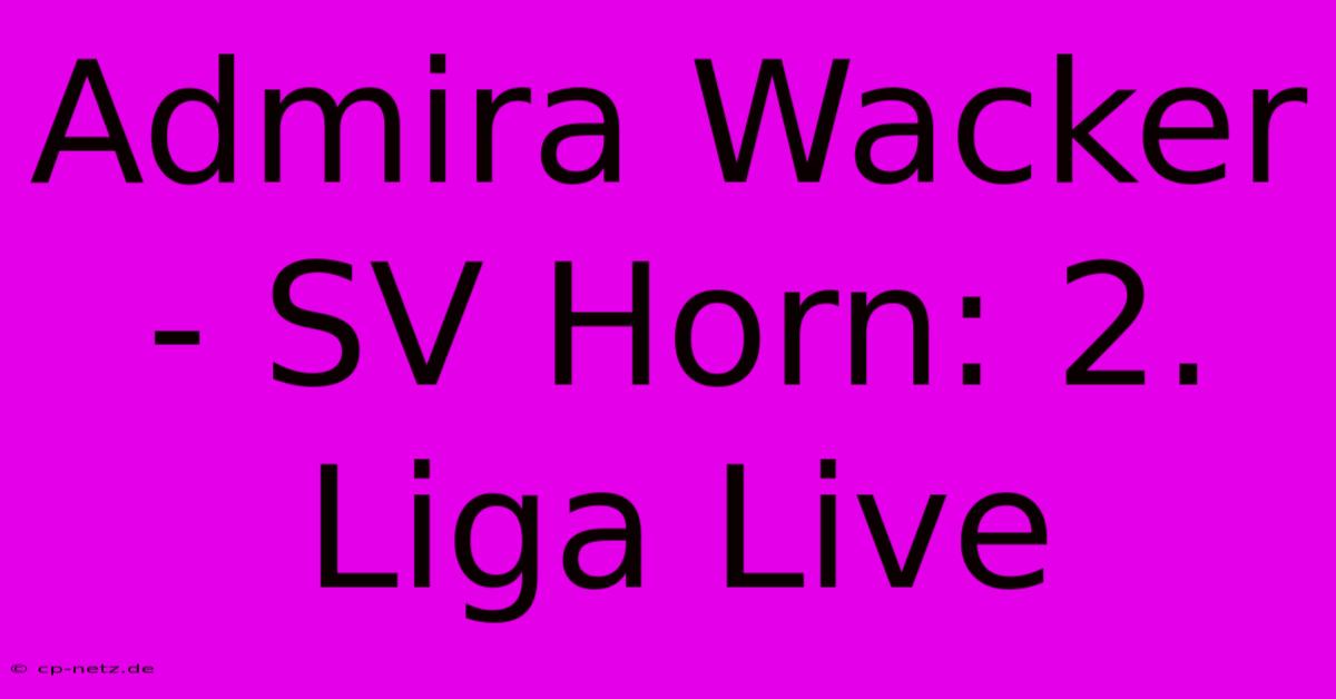 Admira Wacker - SV Horn: 2. Liga Live