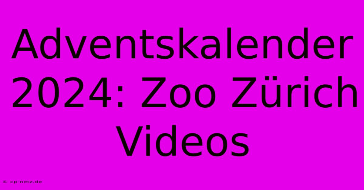 Adventskalender 2024: Zoo Zürich Videos