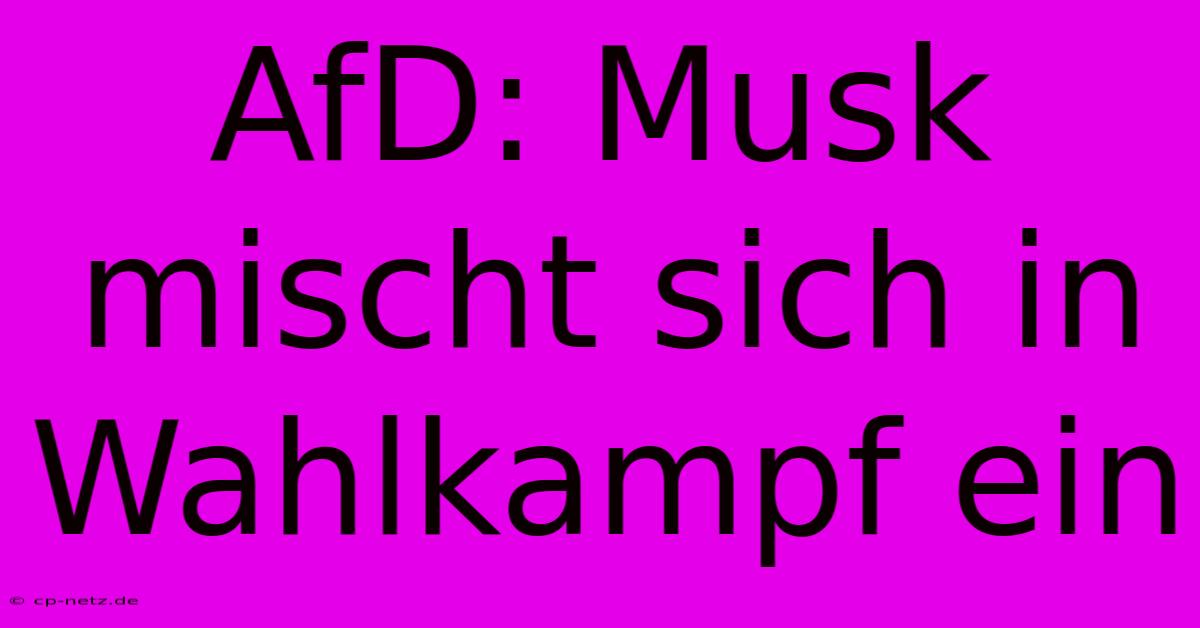 AfD: Musk Mischt Sich In Wahlkampf Ein