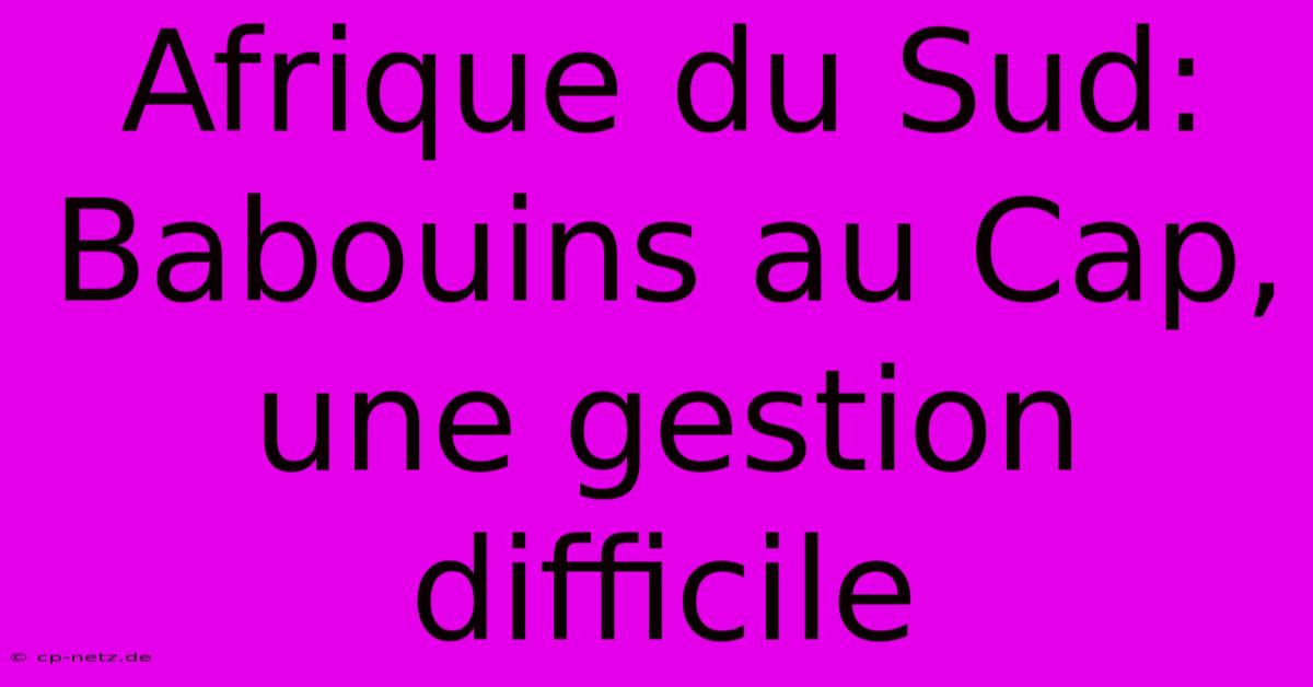 Afrique Du Sud: Babouins Au Cap, Une Gestion Difficile