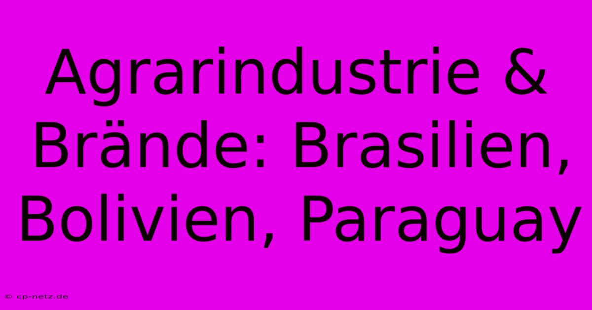 Agrarindustrie & Brände: Brasilien, Bolivien, Paraguay