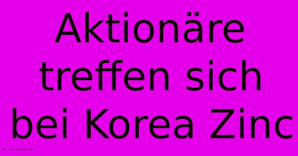 Aktionäre Treffen Sich Bei Korea Zinc