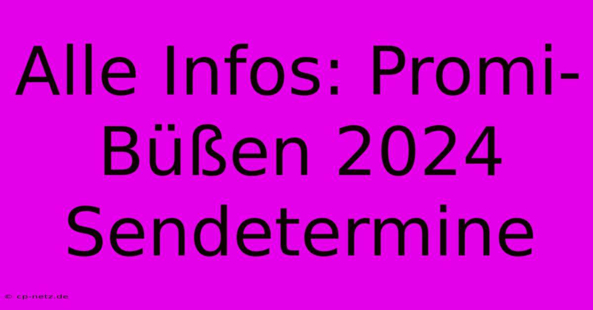 Alle Infos: Promi-Büßen 2024  Sendetermine