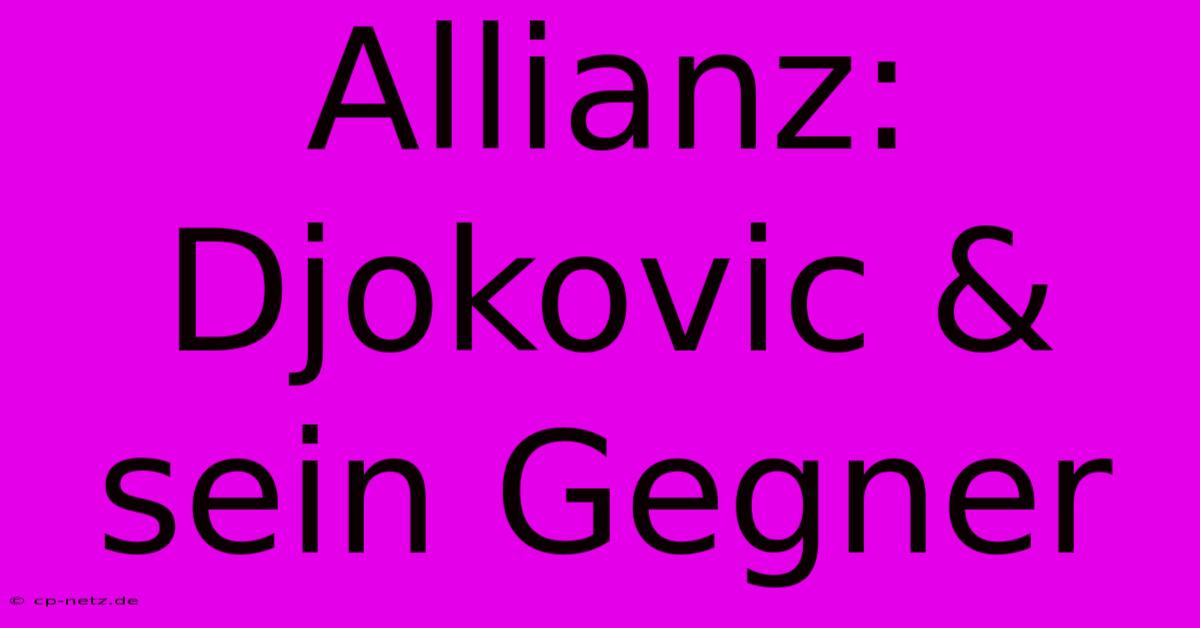 Allianz: Djokovic & Sein Gegner