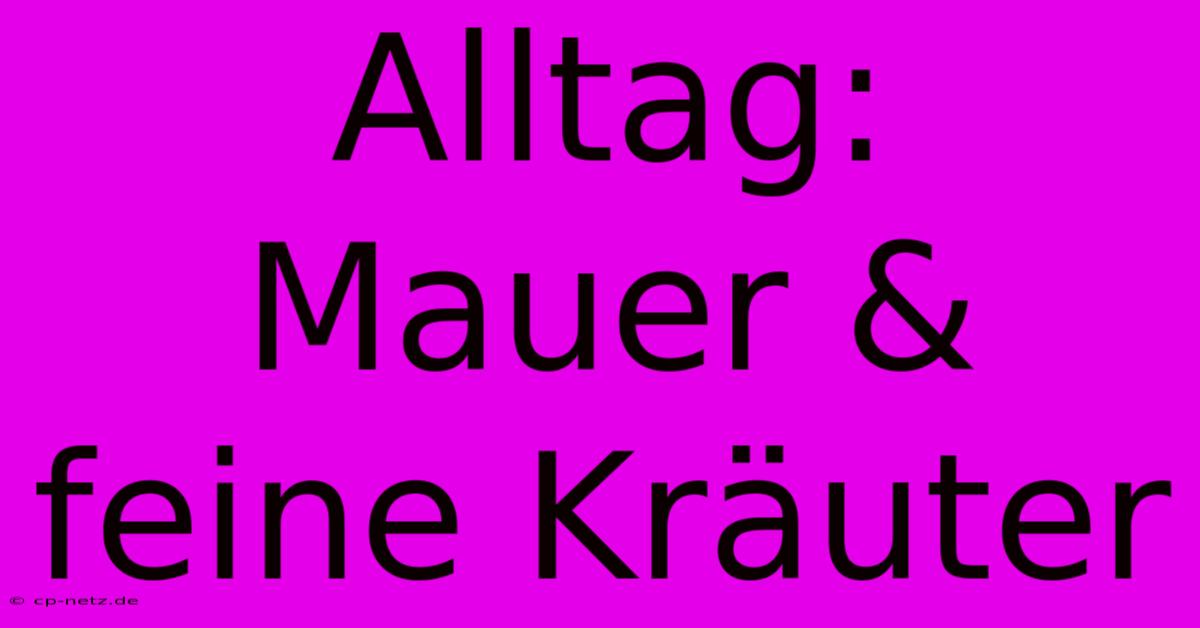 Alltag: Mauer & Feine Kräuter