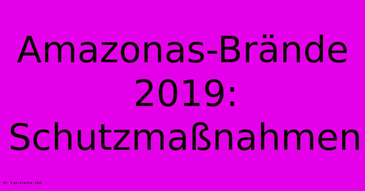 Amazonas-Brände 2019:  Schutzmaßnahmen