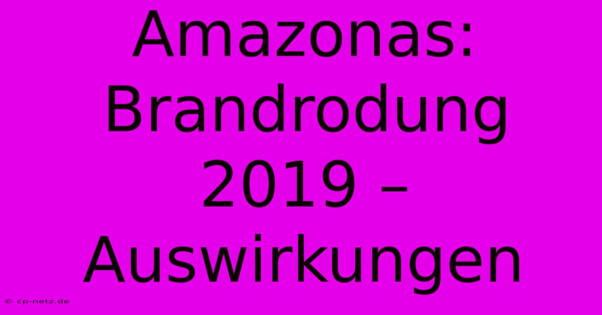 Amazonas: Brandrodung 2019 – Auswirkungen