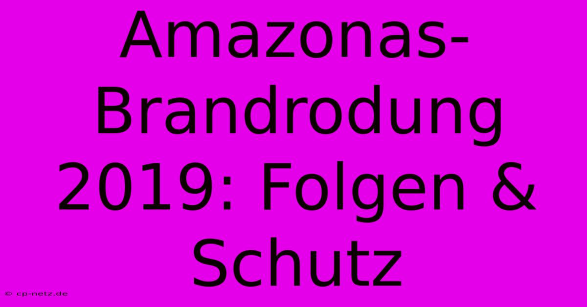 Amazonas-Brandrodung 2019: Folgen & Schutz