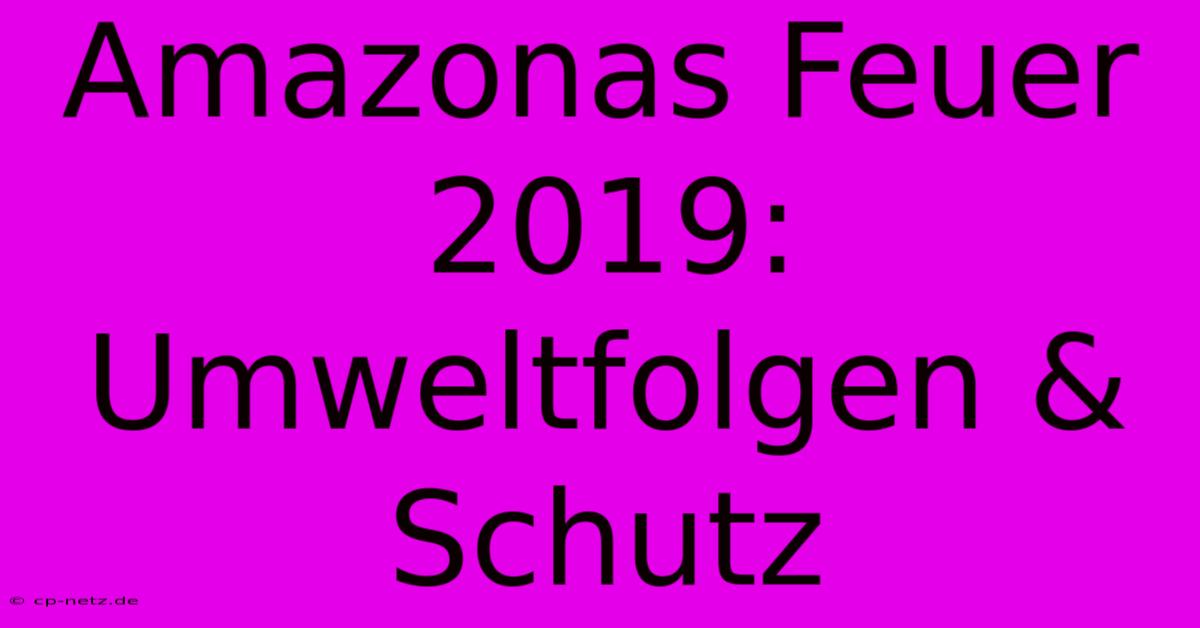 Amazonas Feuer 2019: Umweltfolgen & Schutz