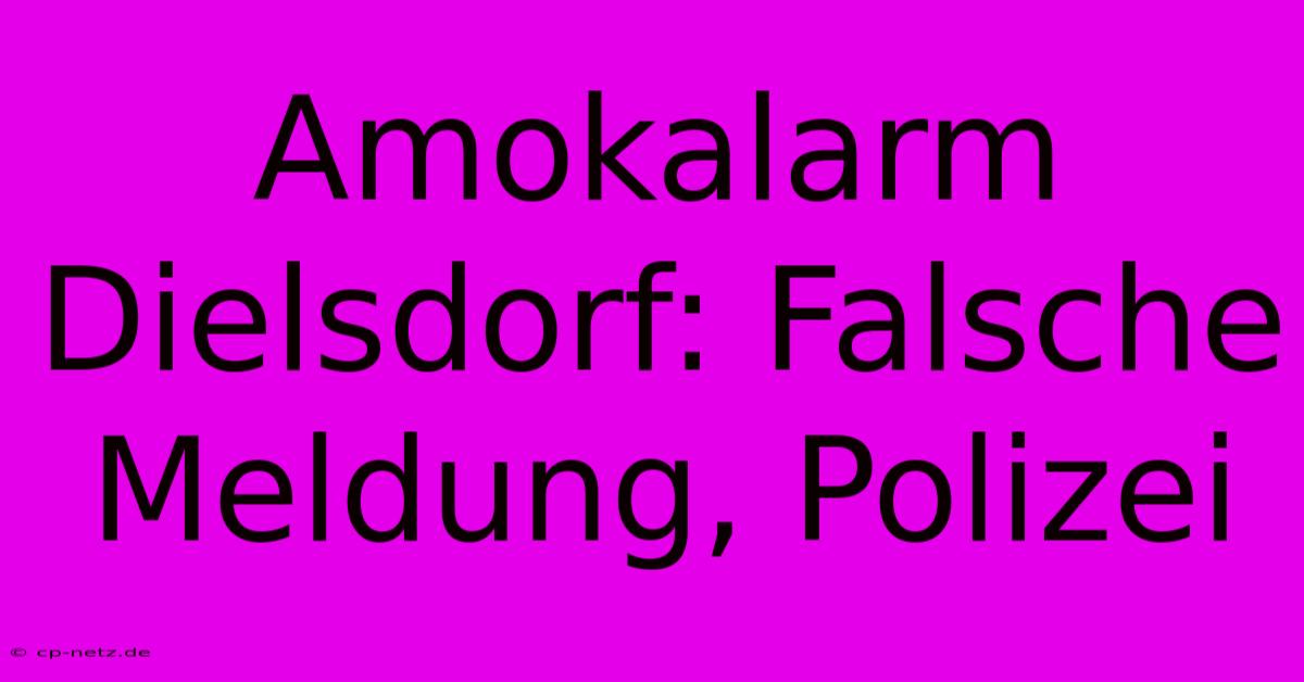 Amokalarm Dielsdorf: Falsche Meldung, Polizei