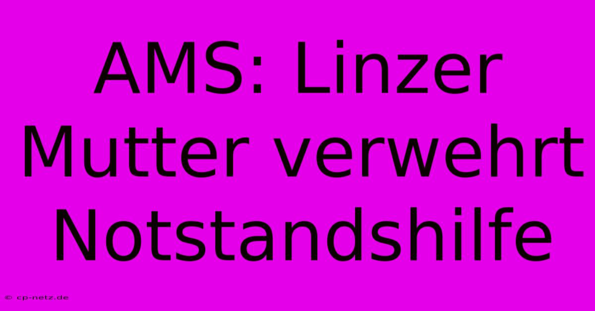 AMS: Linzer Mutter Verwehrt Notstandshilfe