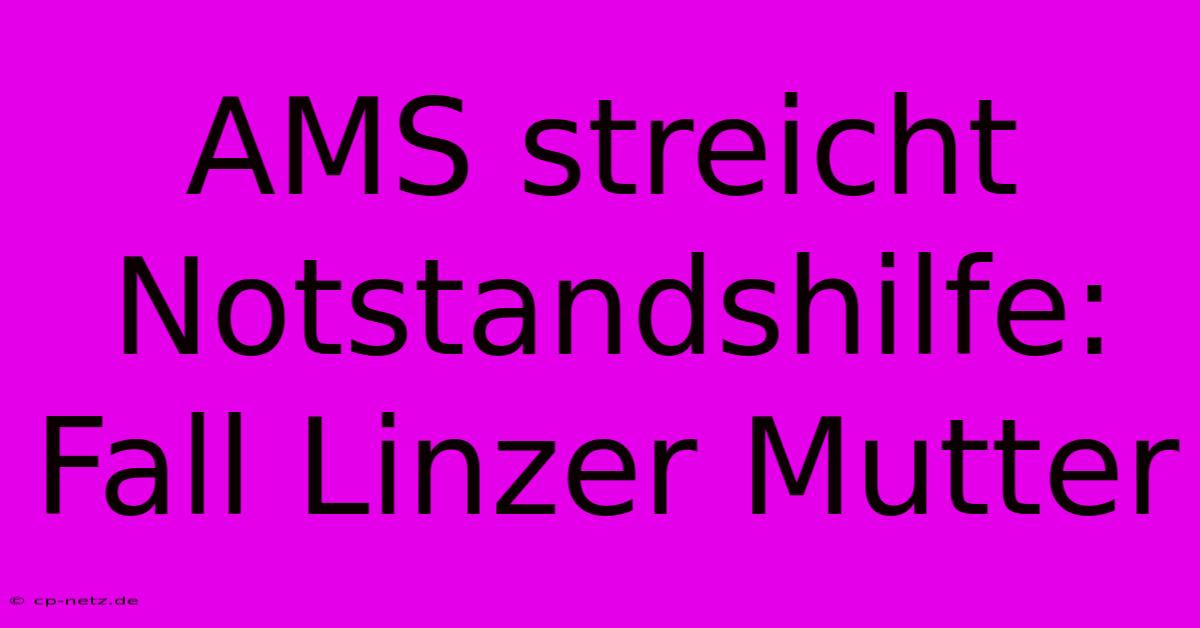 AMS Streicht Notstandshilfe: Fall Linzer Mutter