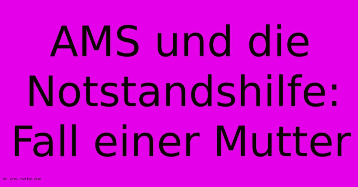 AMS Und Die Notstandshilfe: Fall Einer Mutter