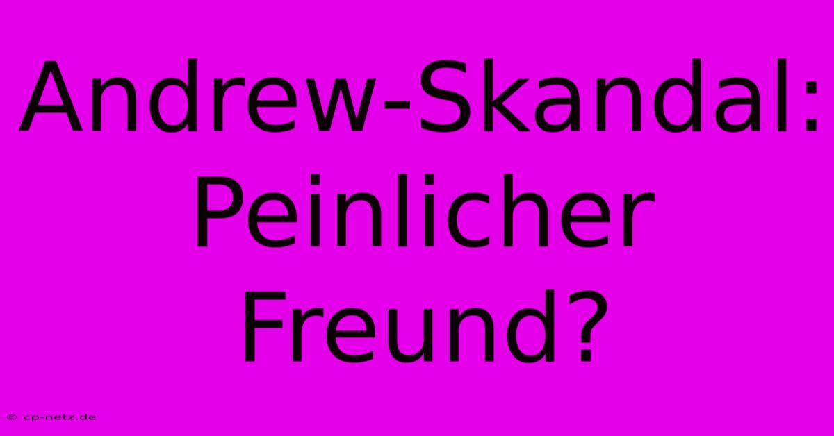 Andrew-Skandal: Peinlicher Freund?