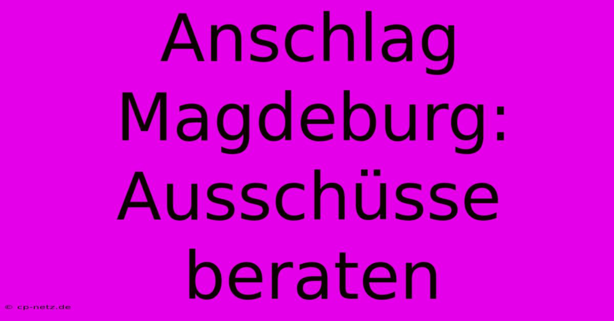 Anschlag Magdeburg: Ausschüsse Beraten