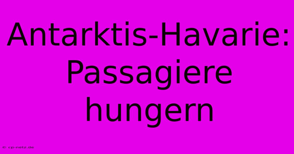 Antarktis-Havarie: Passagiere Hungern