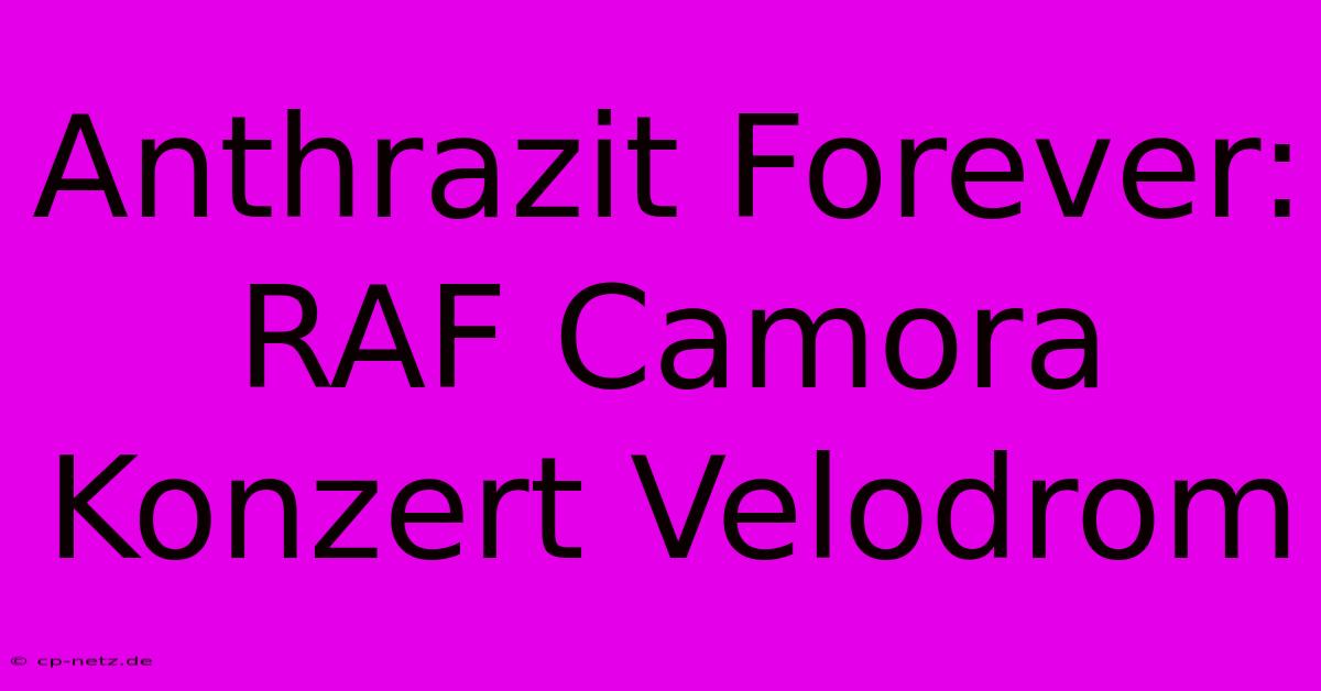 Anthrazit Forever: RAF Camora Konzert Velodrom