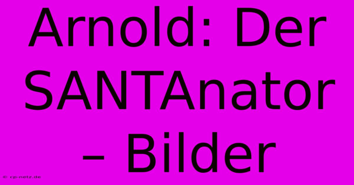 Arnold: Der SANTAnator – Bilder