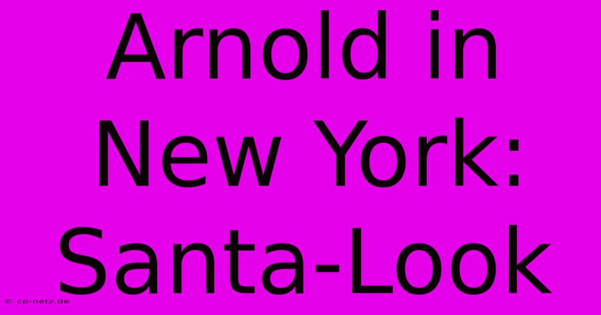 Arnold In New York: Santa-Look