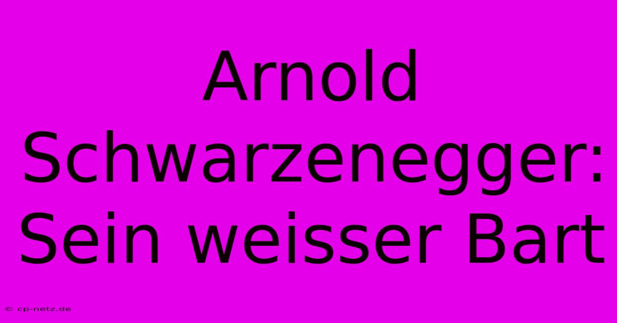 Arnold Schwarzenegger: Sein Weisser Bart