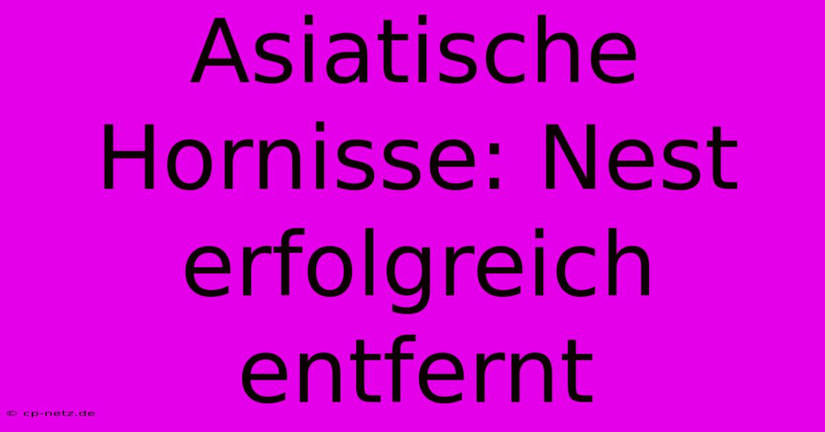 Asiatische Hornisse: Nest Erfolgreich Entfernt