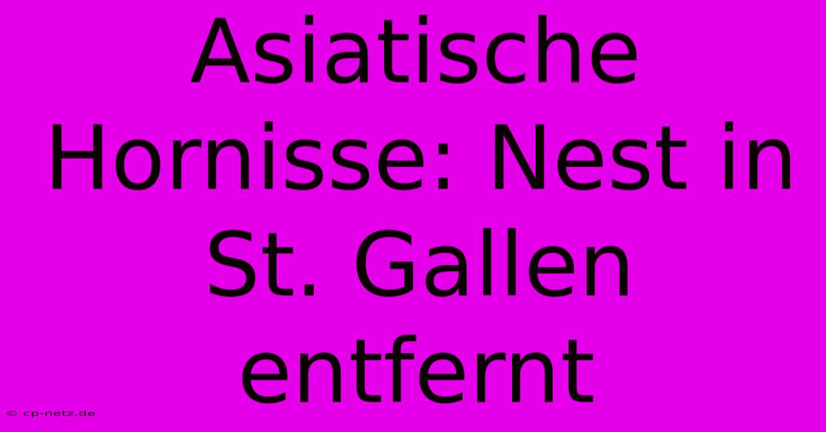 Asiatische Hornisse: Nest In St. Gallen Entfernt