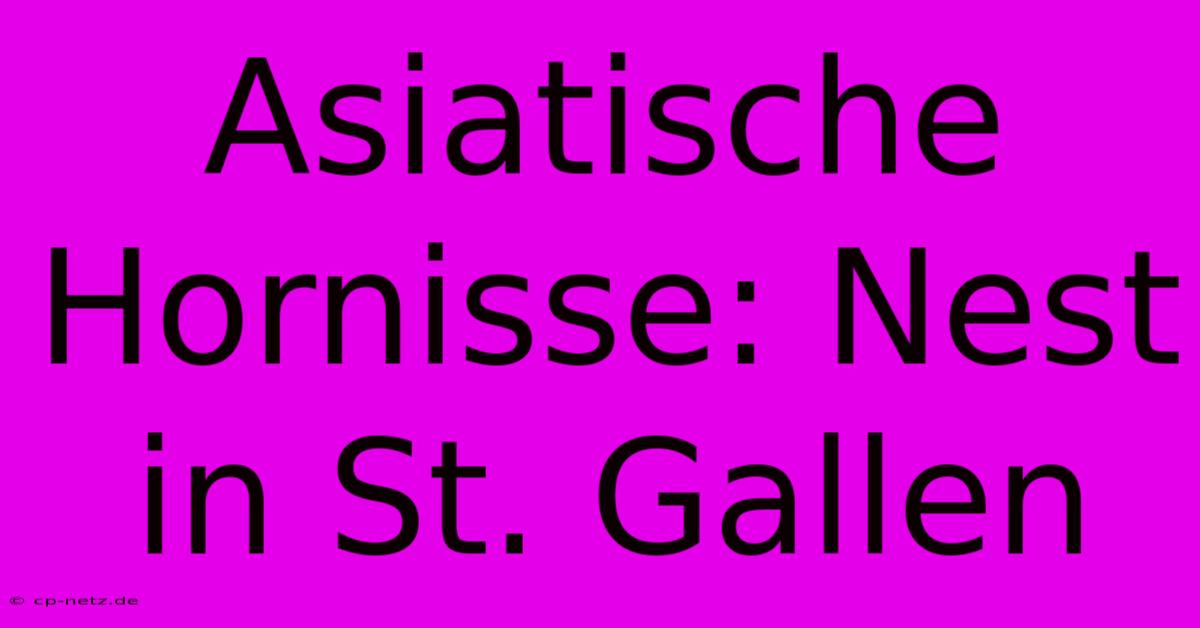 Asiatische Hornisse: Nest In St. Gallen